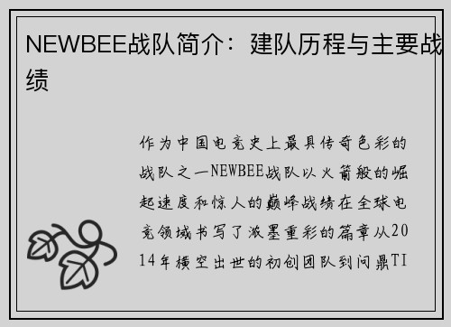 NEWBEE战队简介：建队历程与主要战绩