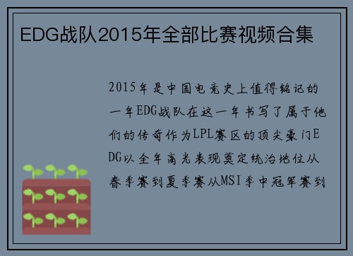 EDG战队2015年全部比赛视频合集