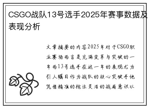 CSGO战队13号选手2025年赛事数据及表现分析